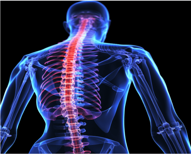 Chiropractor demonstrating structural chiropractic techniques on a patient at Neu Life Chiropractic in Tomball, TX